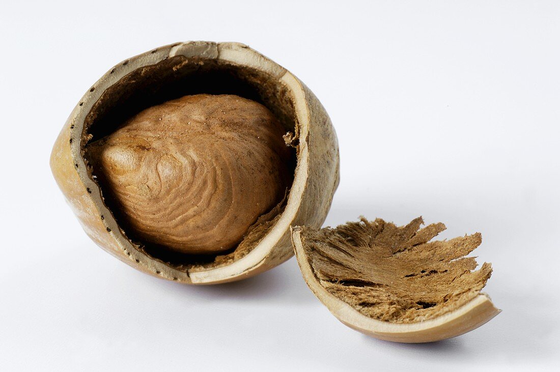 A hazelnut with the shell broken open