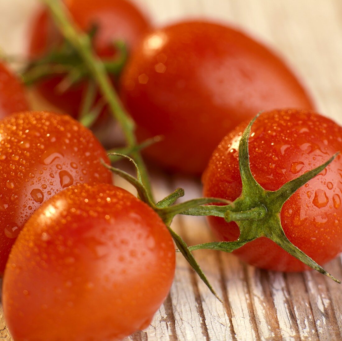 Eiertomaten an der Rispe mit Wassertropfen