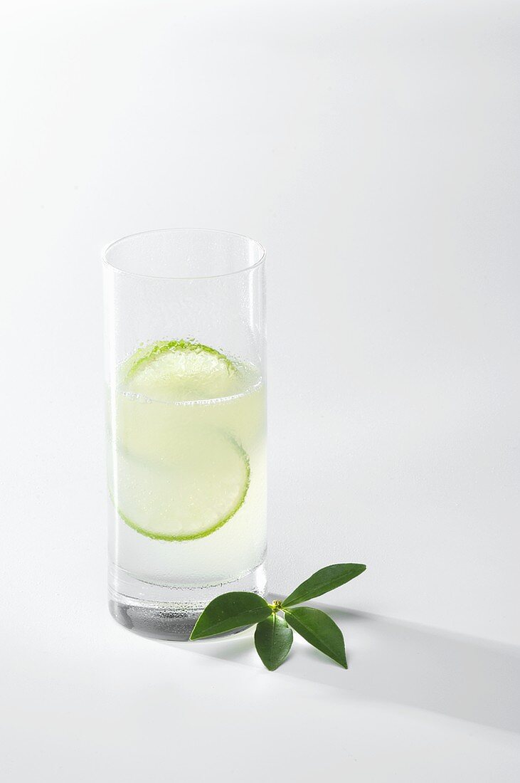 Gin Fizz in tall glass with slices of lime