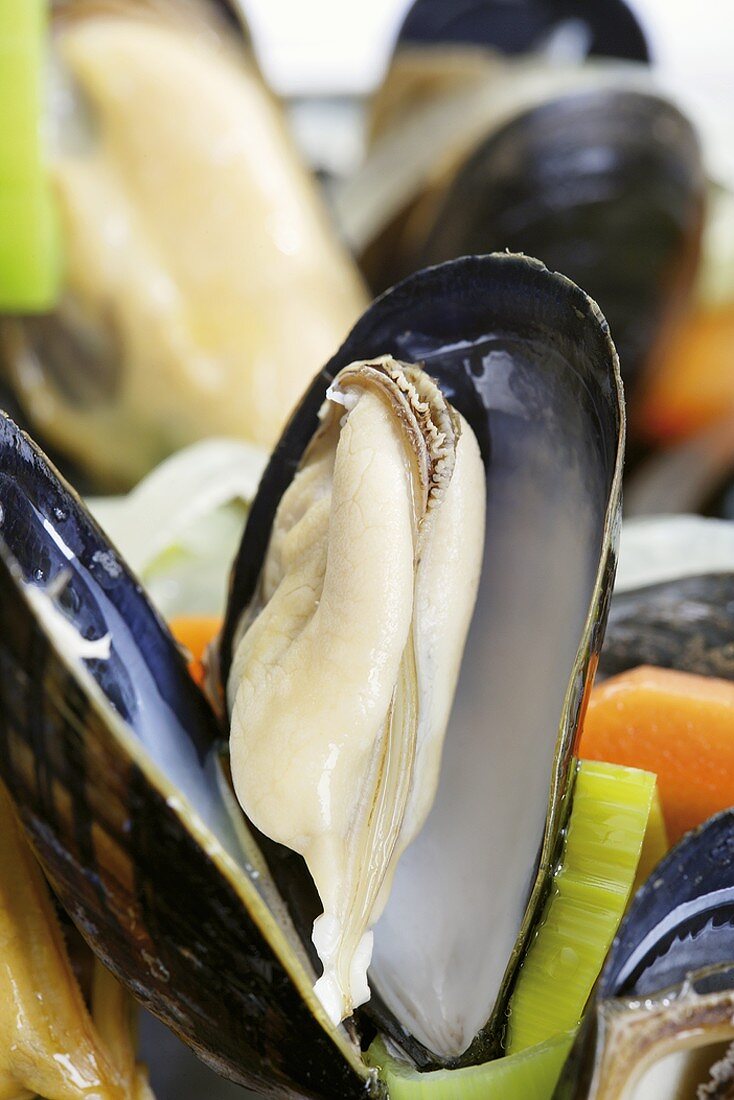 Mussels in vegetable stock