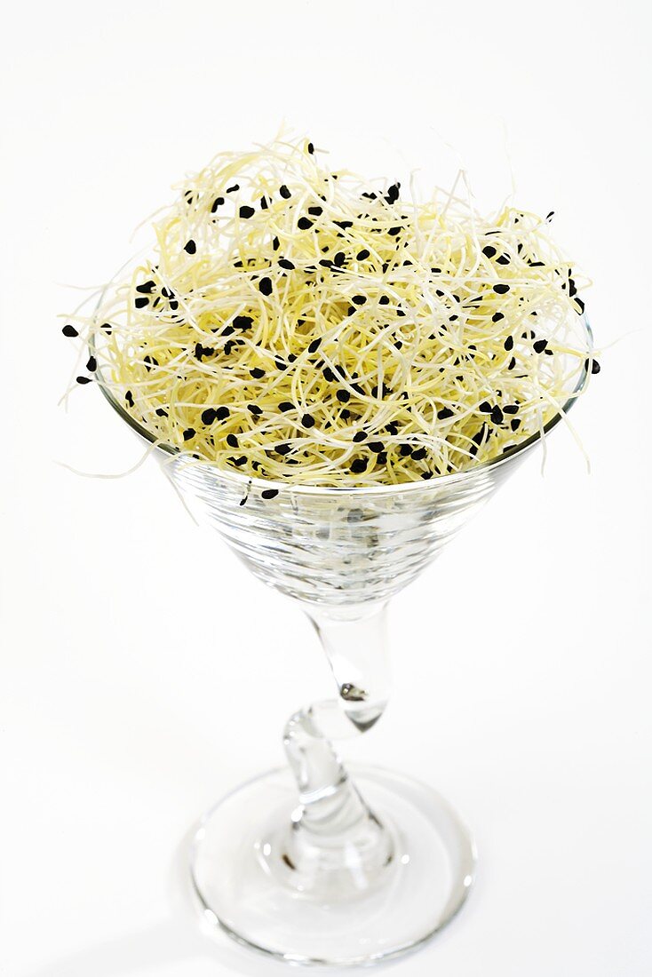 Garlic sprouts in a glass
