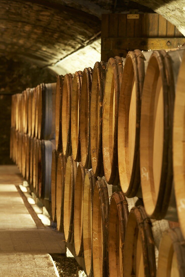 Weinfässer im Weinkeller von Jean-Louis Trapet, Burgund