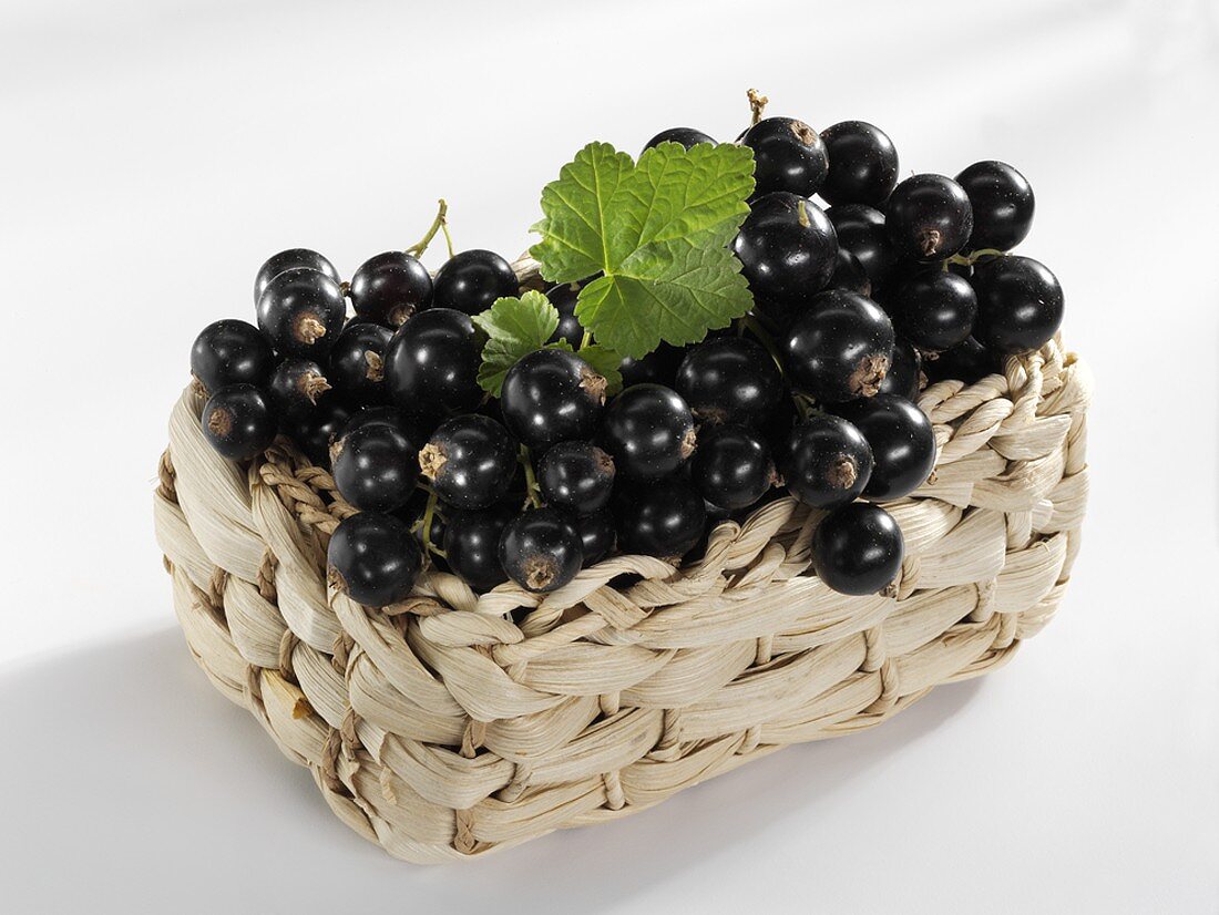 Blackcurrants in basket
