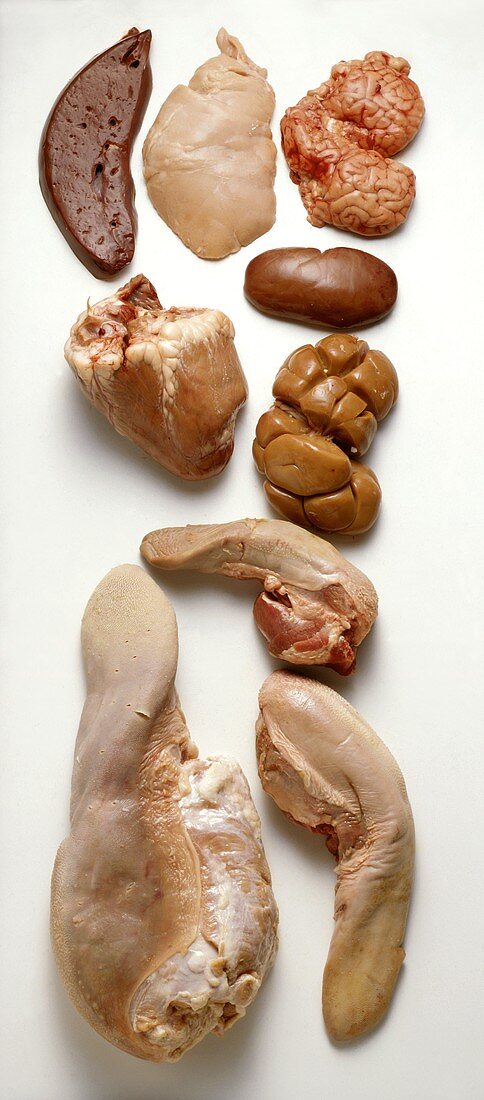 Offal still life