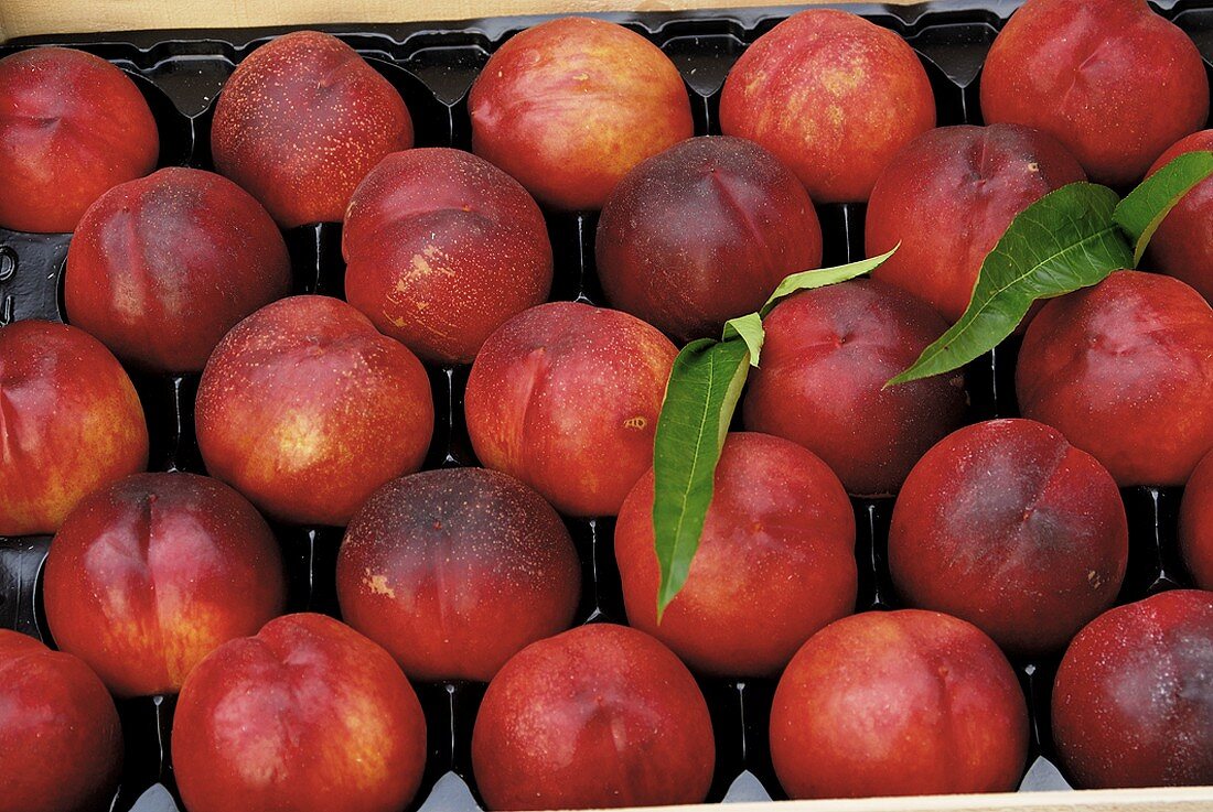 Nectarines in a crate