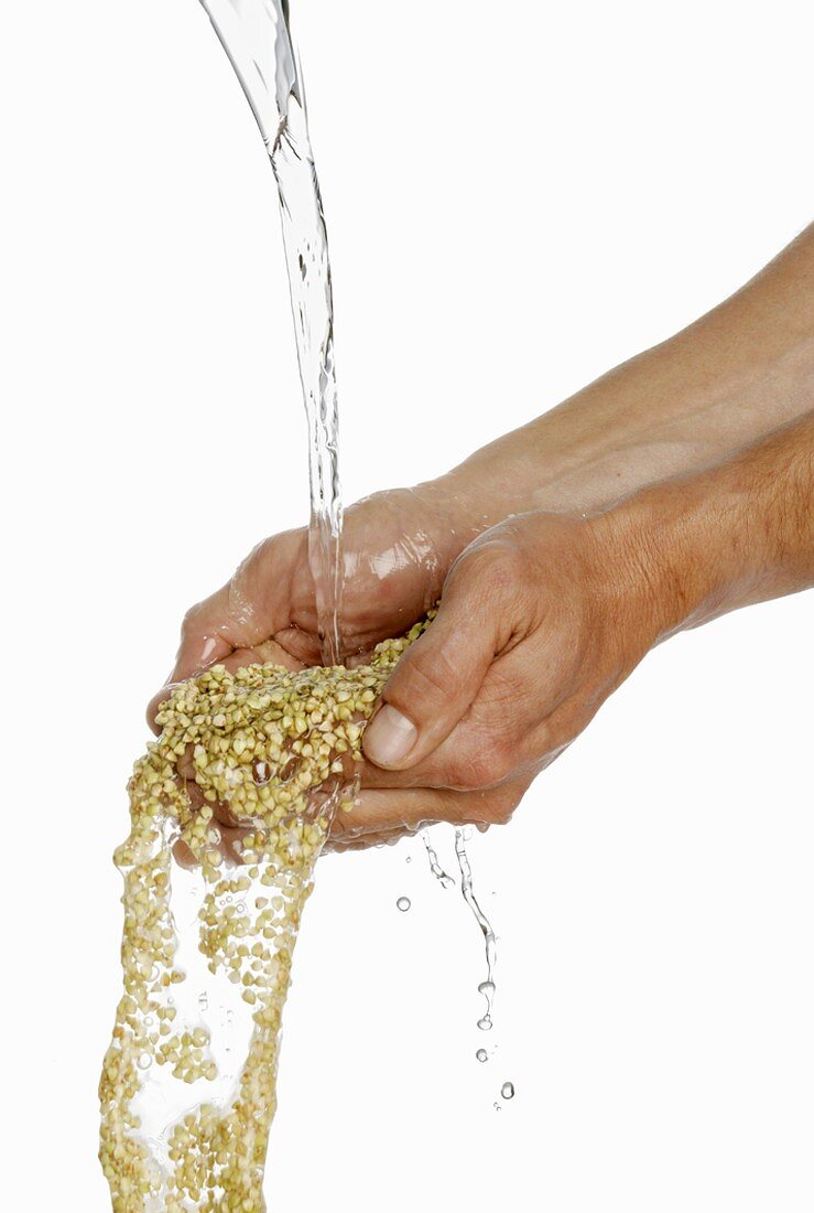 Someone holding two hands full of buckwheat under running water