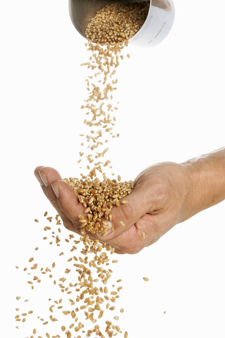 Someone pouring wheat into their hand