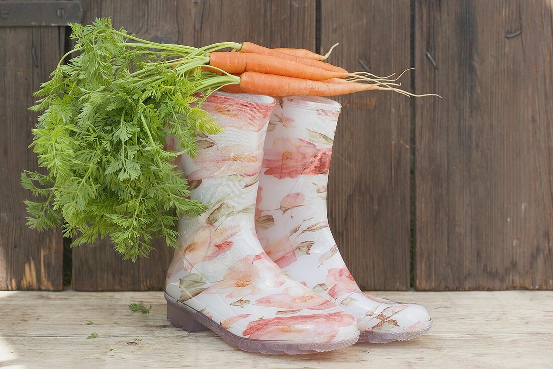 Carrots on top of rubber boots