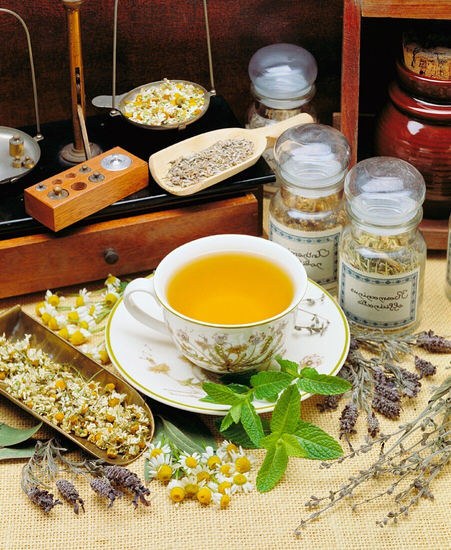 Assorted medicinal herbs, a set of precision scales and a cup of camomile tea