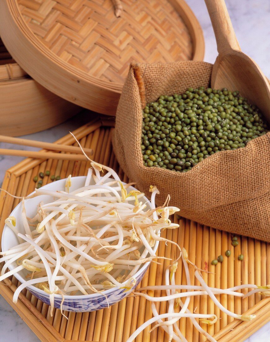 A still life featuring mungo beans and a bowl of bean sprouts