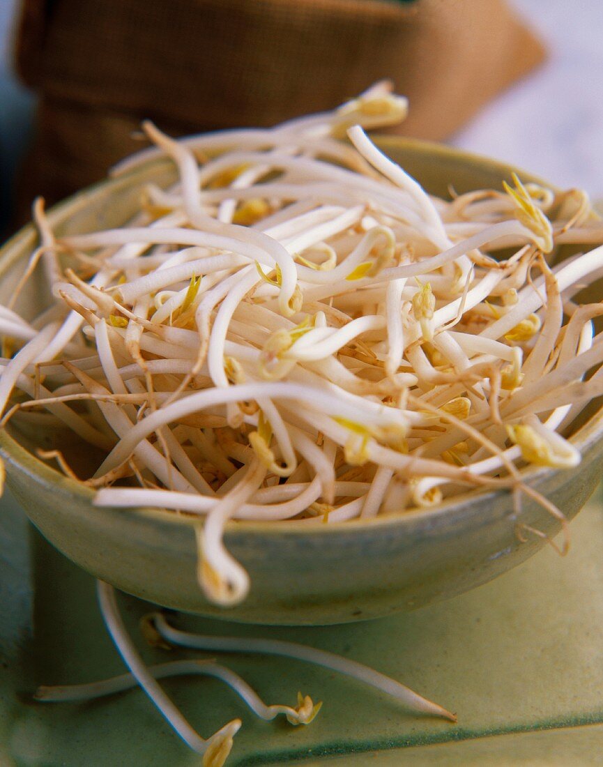 Soya bean sprouts