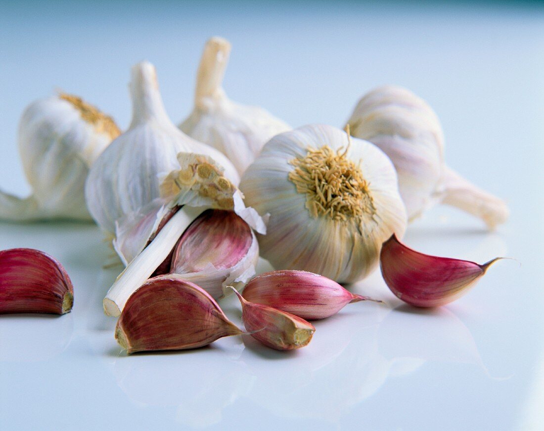 Garlic