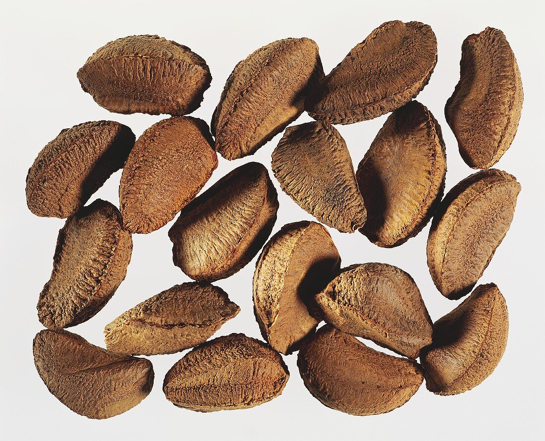 Many Brazil Nuts