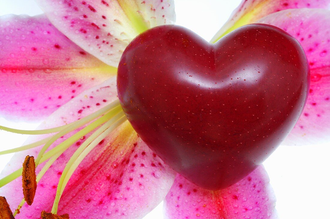 Red heart on a purple flower