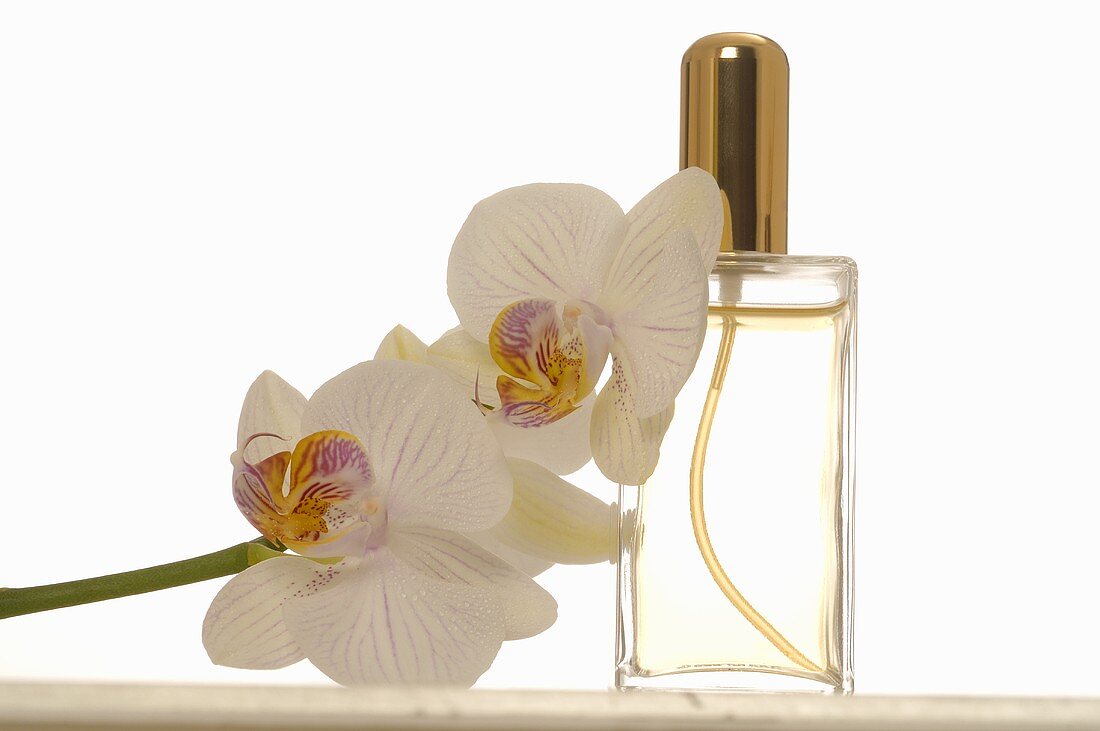Perfume and orchid flowers