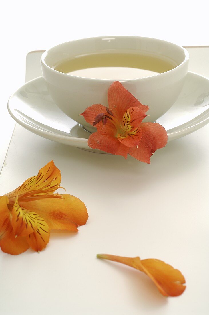 Teetasse und Blüten