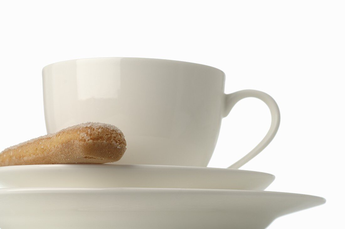 Coffee cup with sponge finger