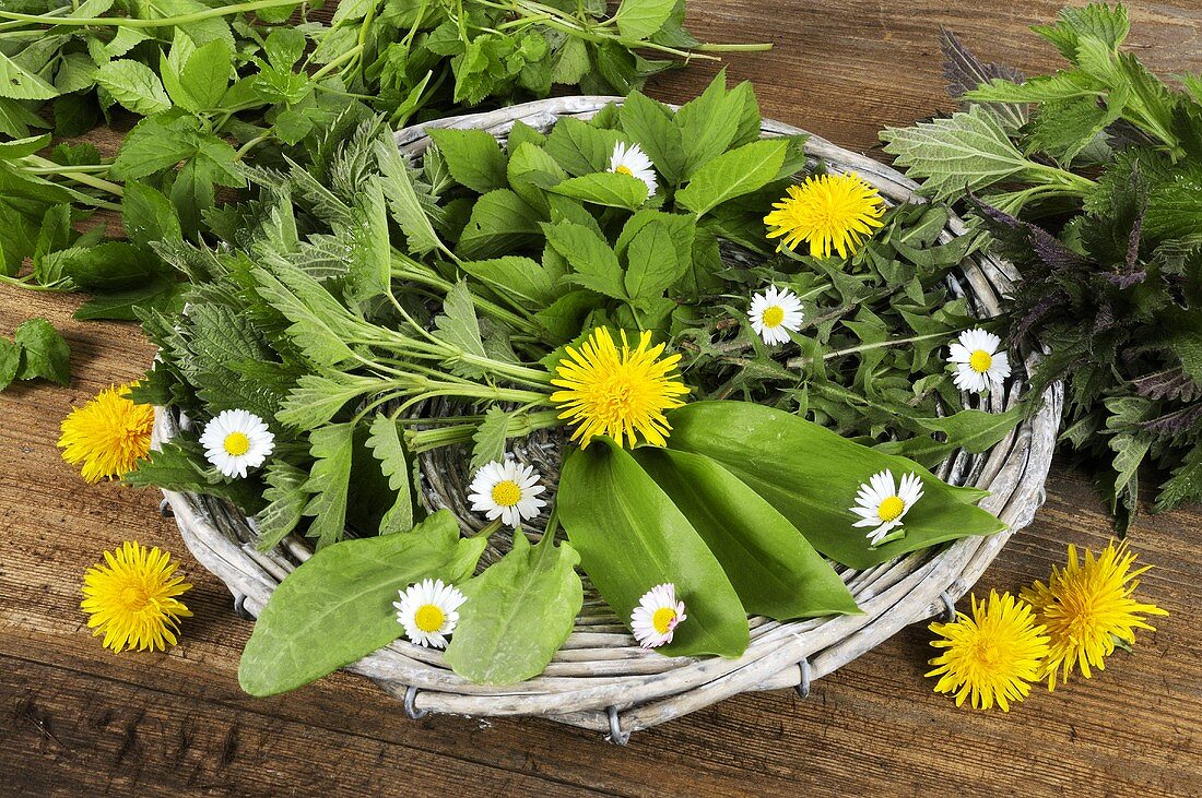 Verschiedene frische Frühlingskräuter