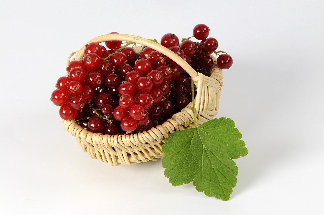 Redcurrants in basket with leaf