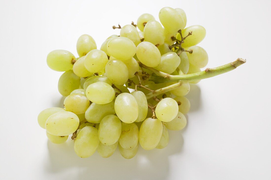 Fresh green grapes