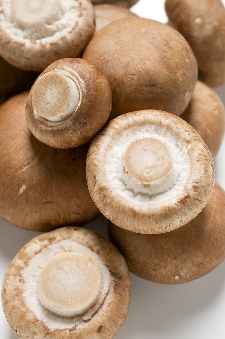 Several fresh chestnut mushrooms (close-up)