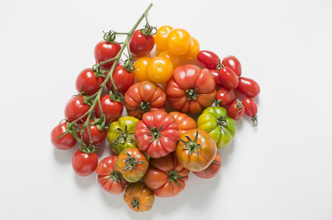 Various varieties of tomatoes