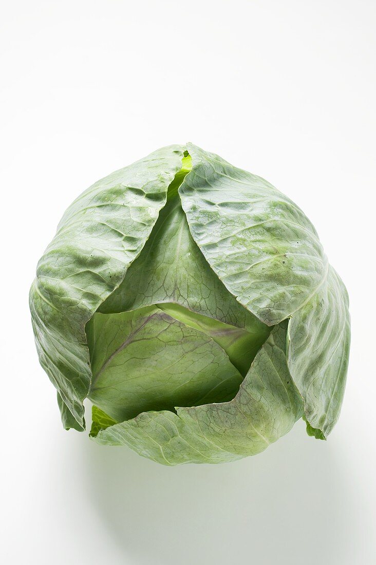 Cabbage