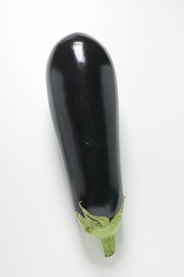 An aubergine