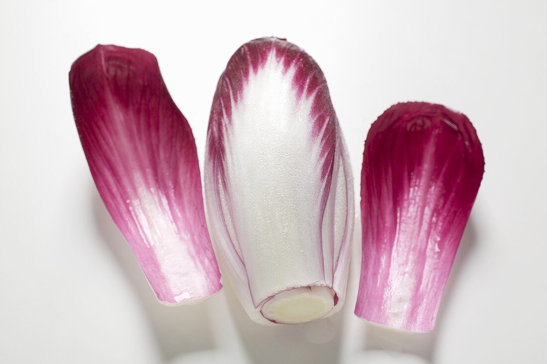 Radicchio