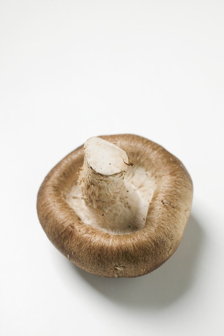 A shiitake mushroom (on its cap)