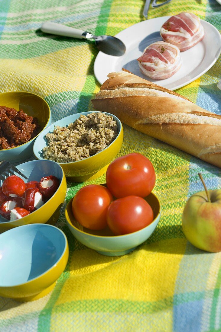 Picknickdecke mit Tomaten, Brotaufstriche, Baguette etc.