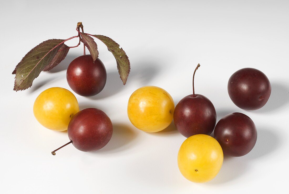 Mirabelles and cherry plums with leaves