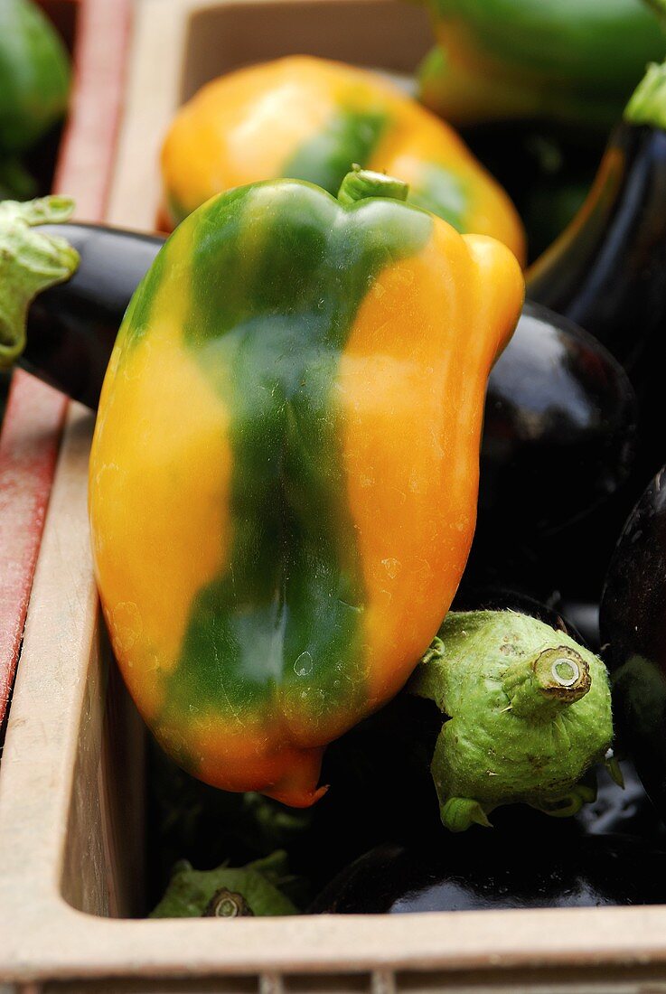 Green and yellow peppers and aubergines