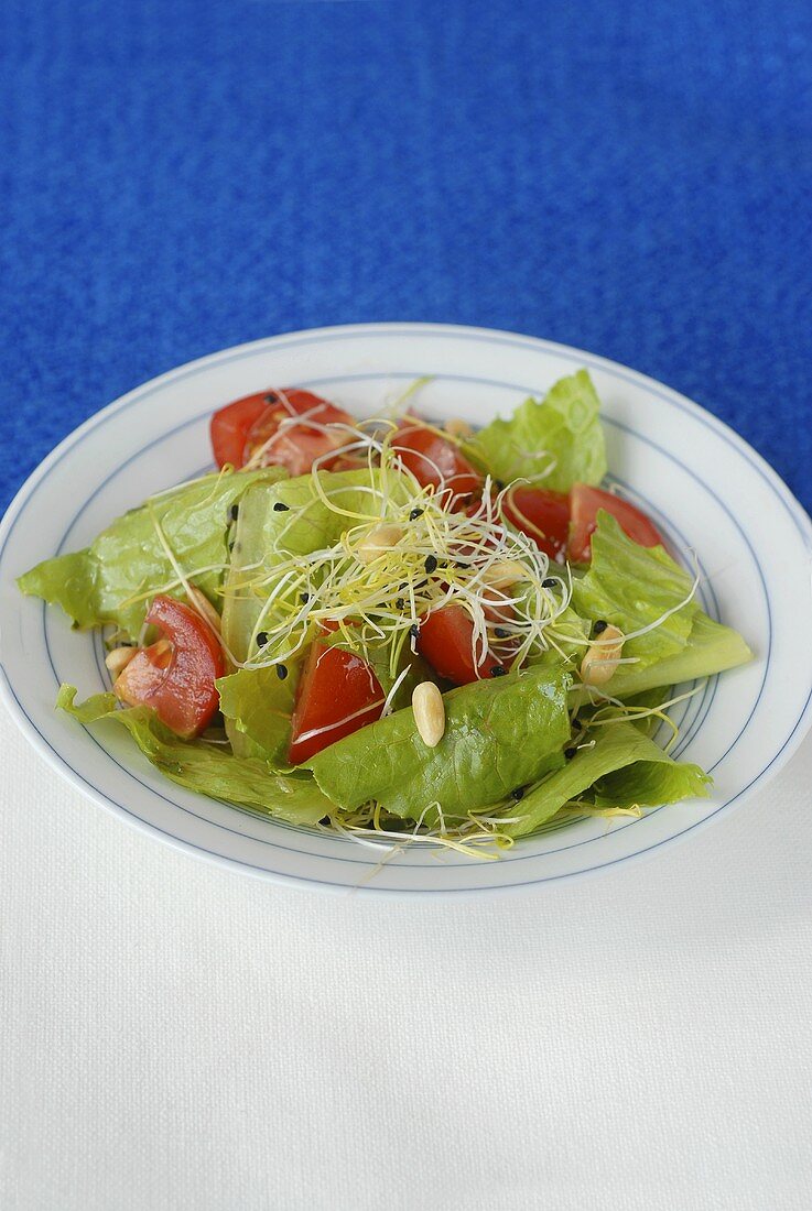 Romanasalat mit Tomaten und Pinienkernen