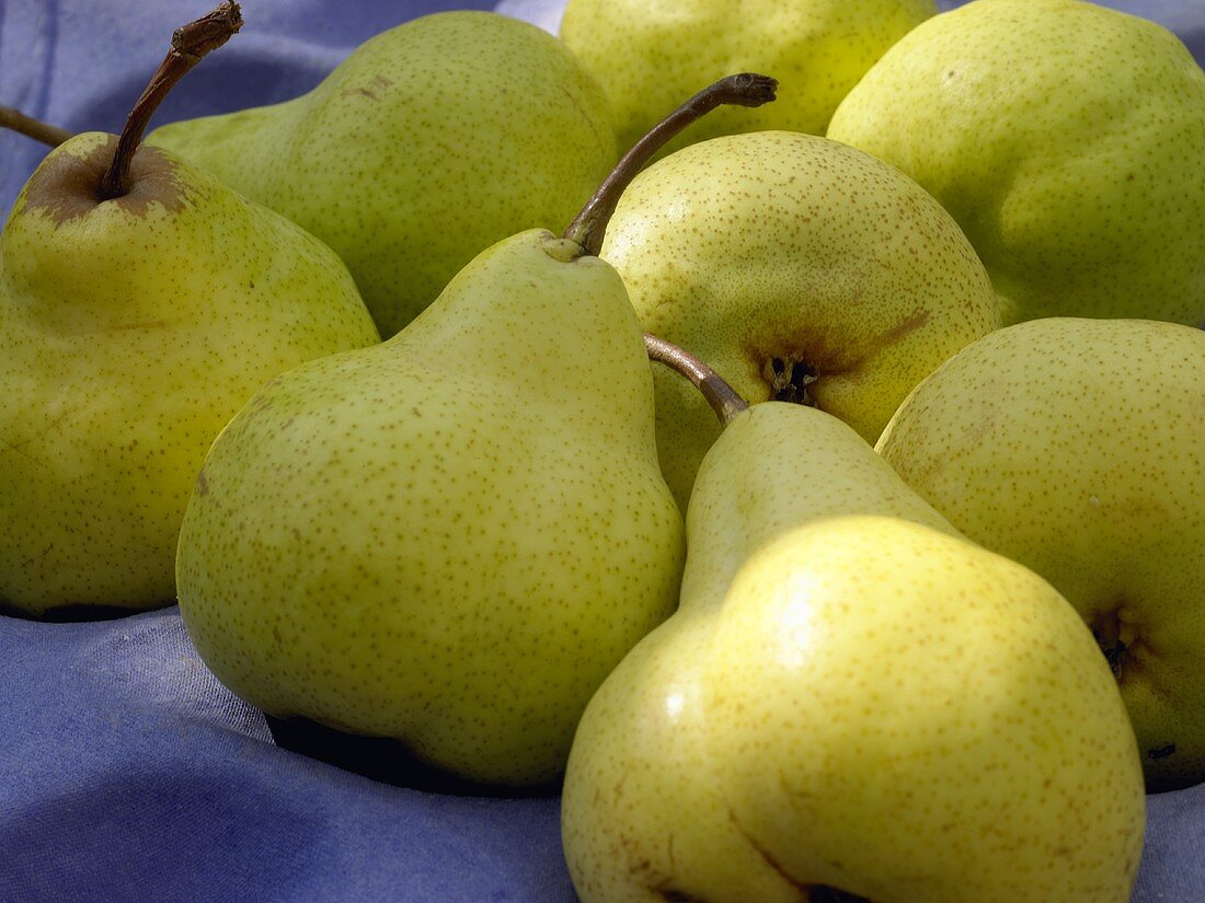 Pears