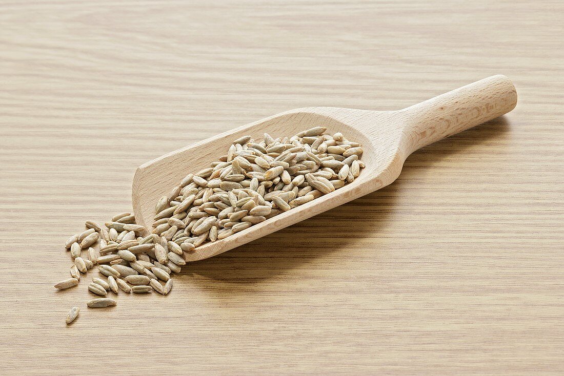 Grains of rye in wooden scoop