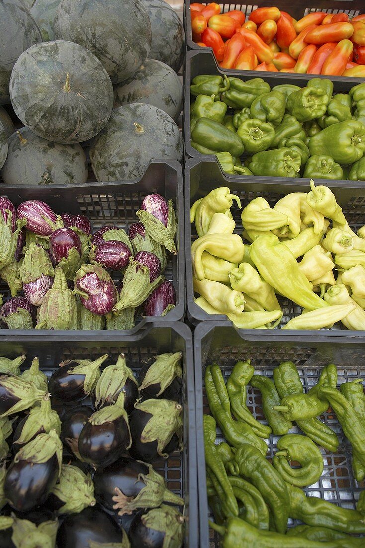 Various types of vegetables in crates