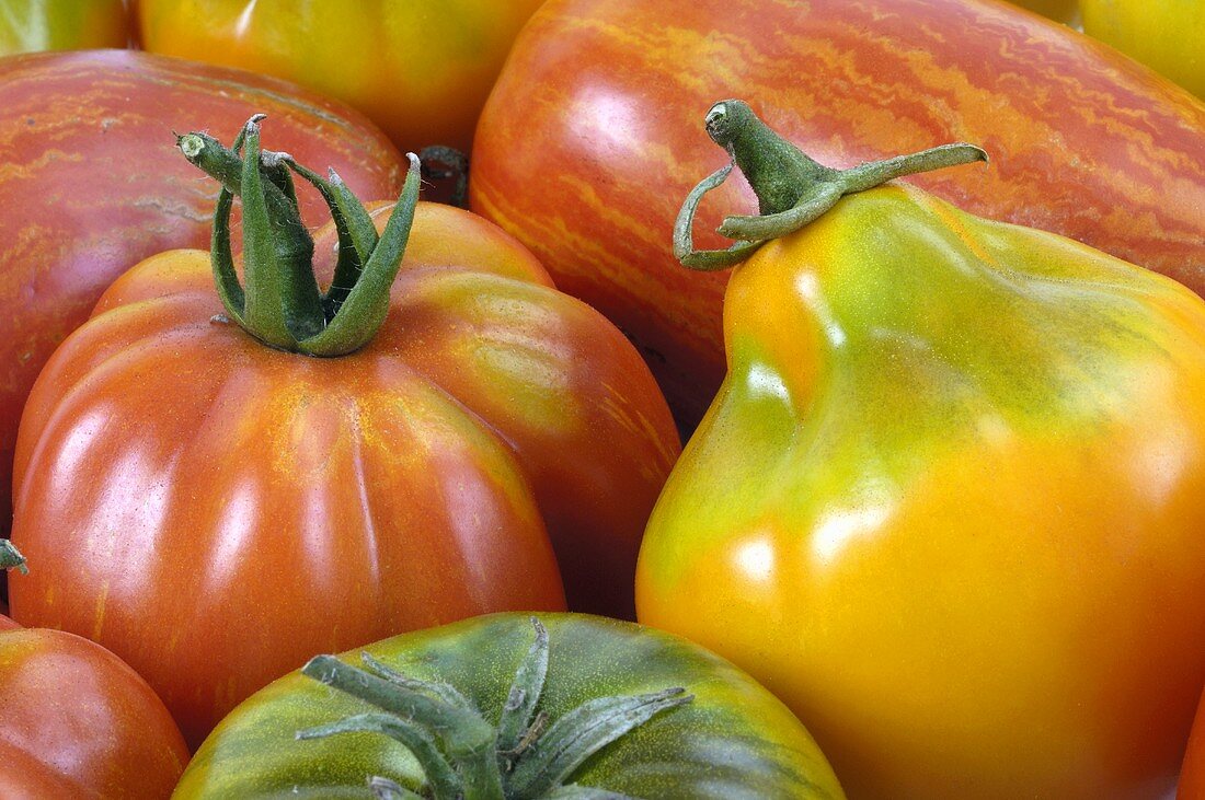 Verschiedene Tomaten (Ausschnitt)