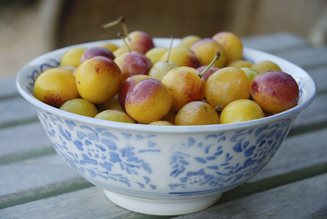 Mirabelles in a bowl