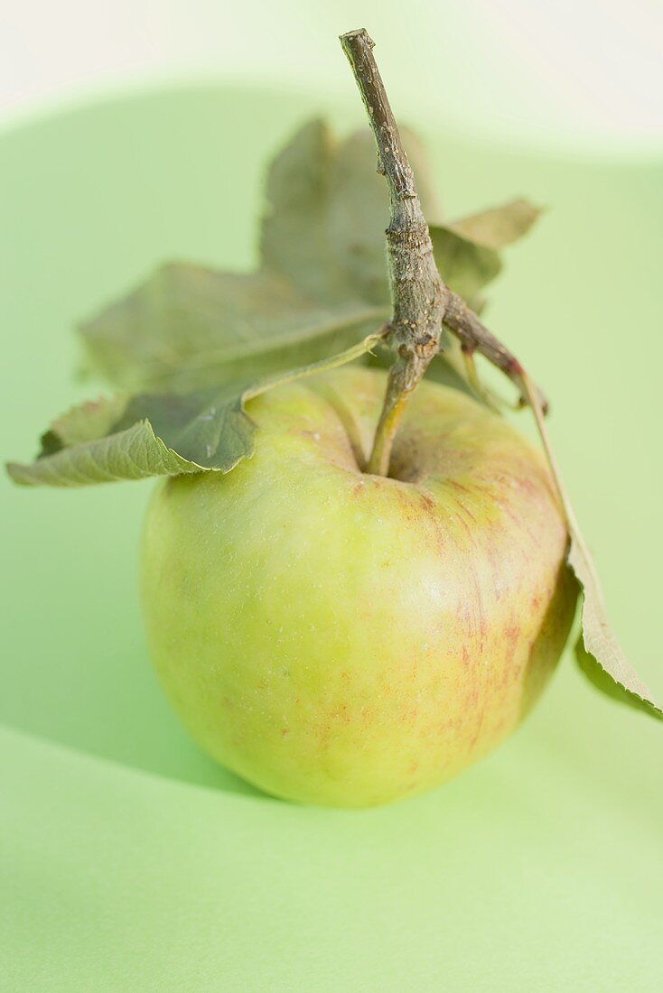 Grüner Apfel mit Stiel und Blättern