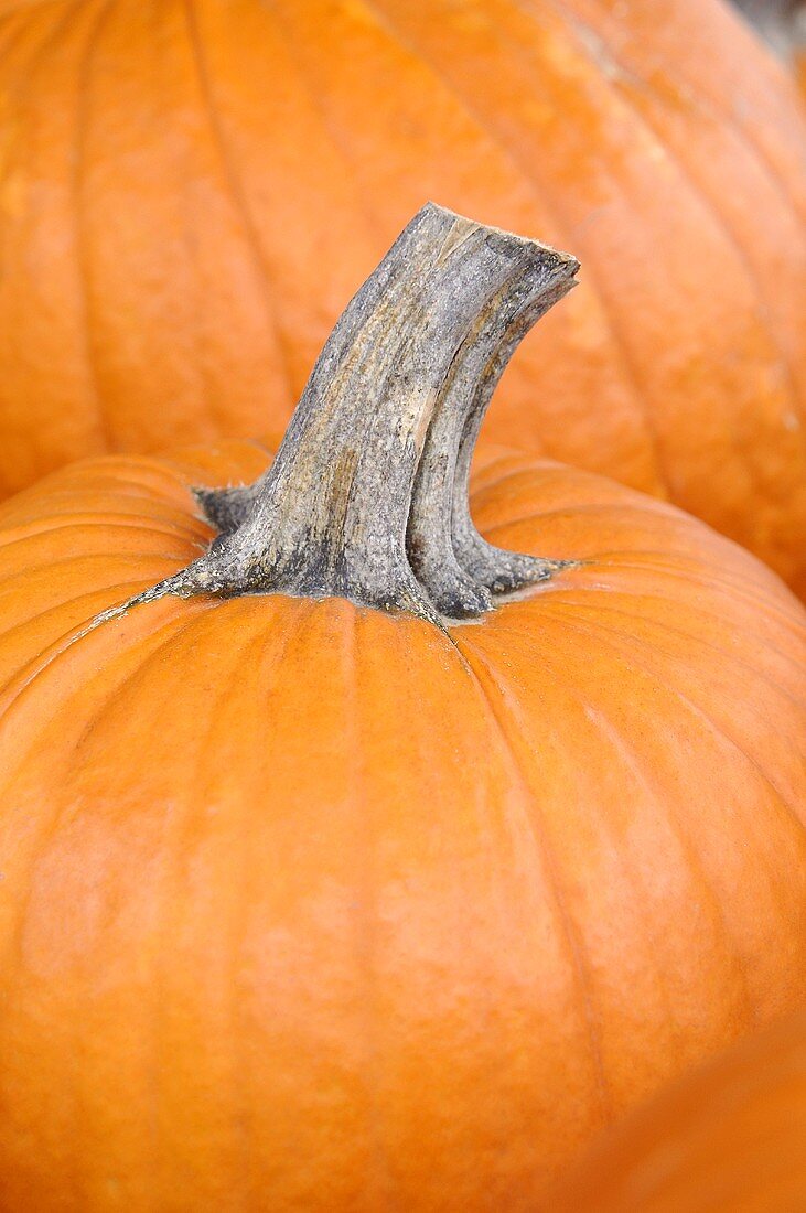 Two orange pumpkins (detail)