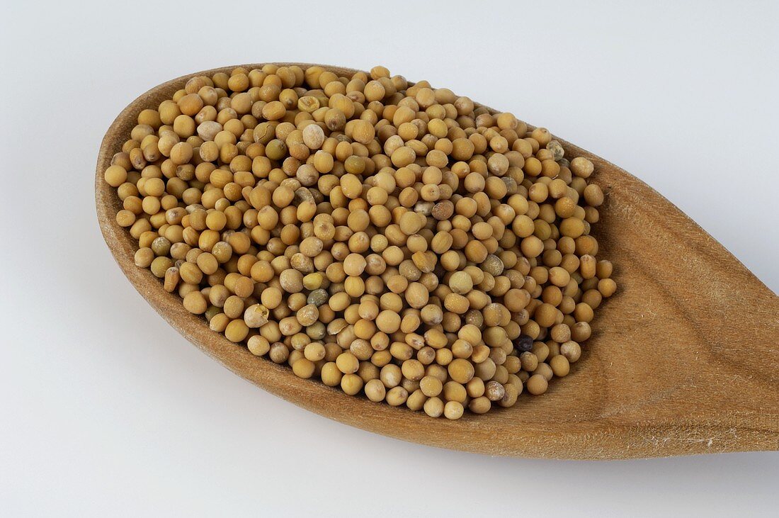 Mustard seeds on wooden spoon