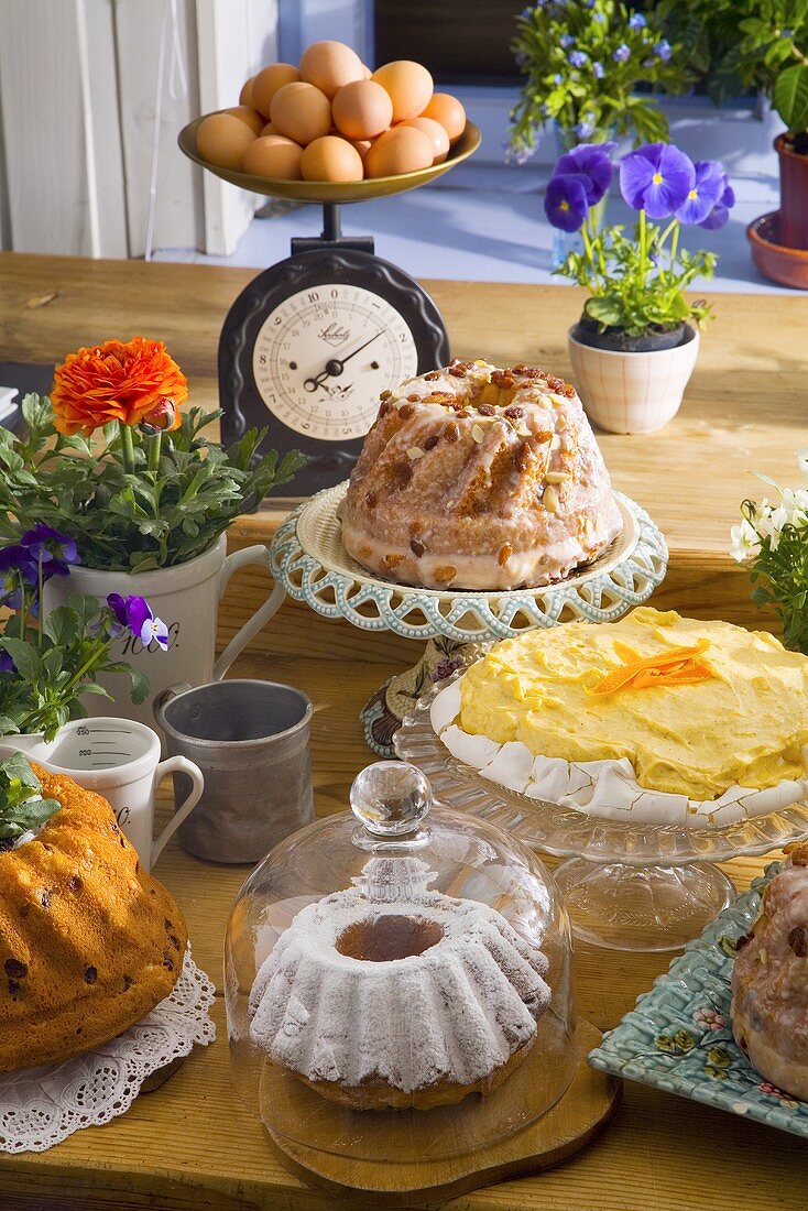 Verschiedene polnische Osterkuchen in einer Küche