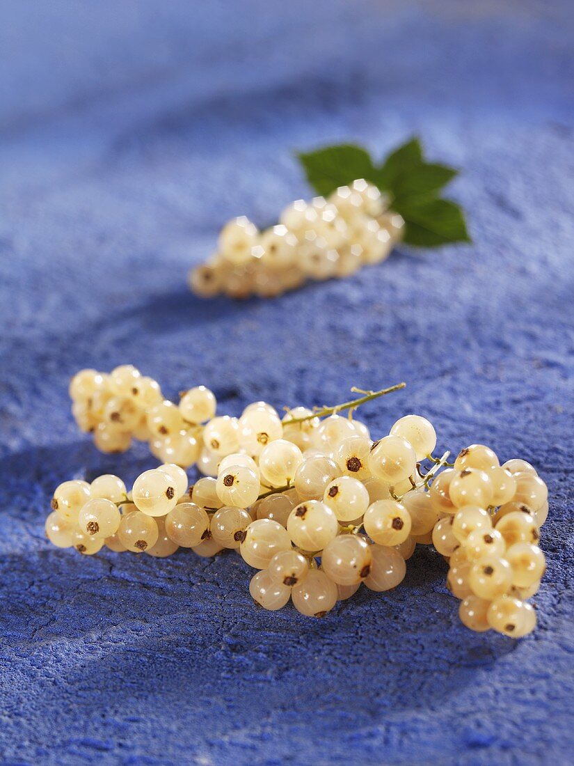 White currants on blue background