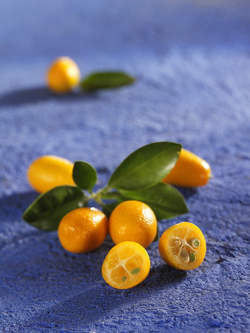 Kumquats with leaves on blue background