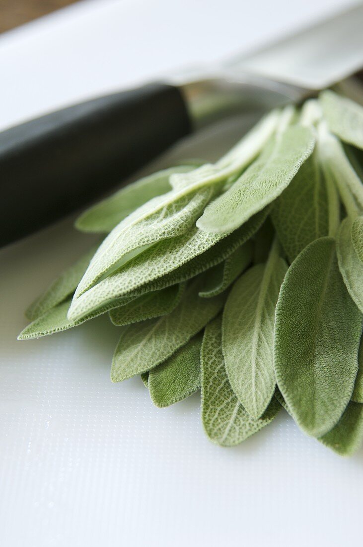 Fresh sage leaves