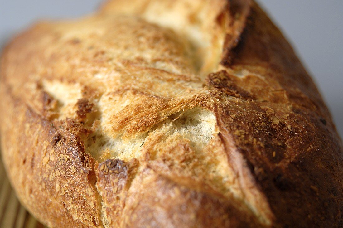 A loaf of bread (detail)