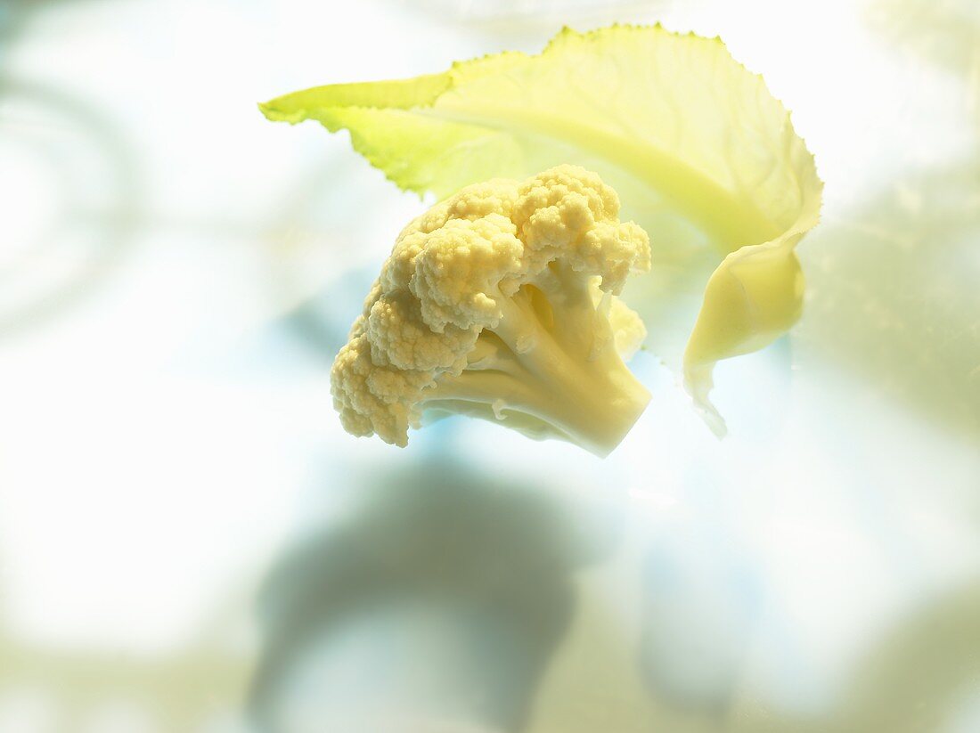 Cauliflower floret and leaf