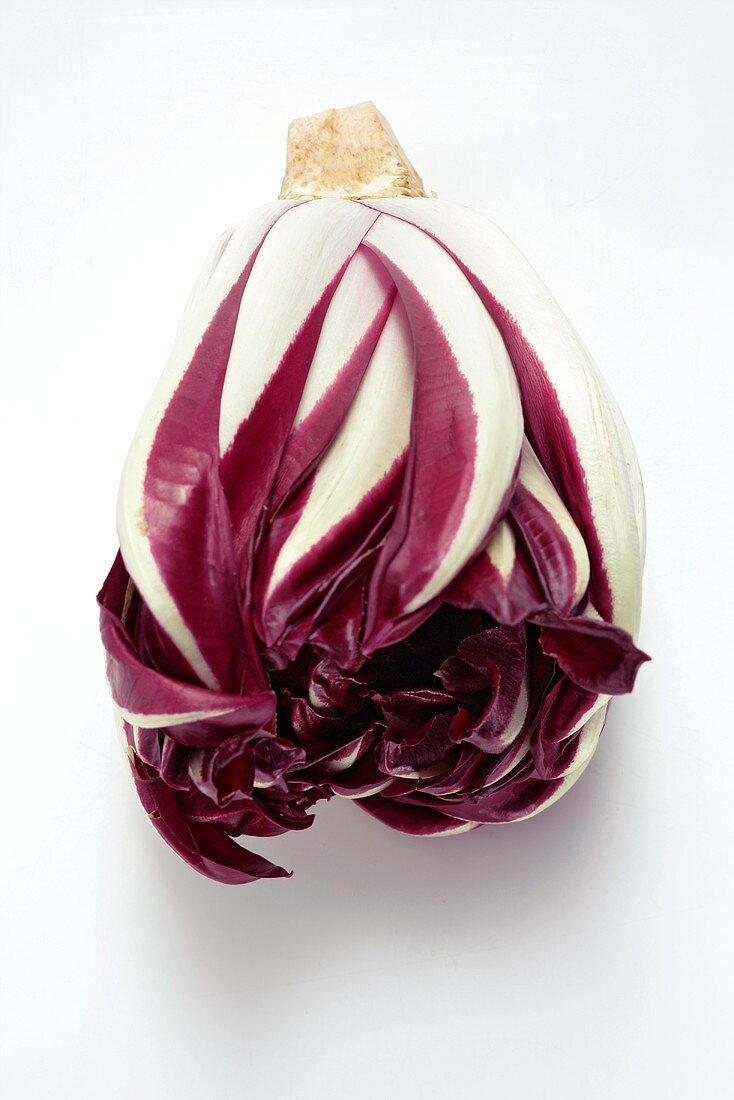 Radicchio di Treviso