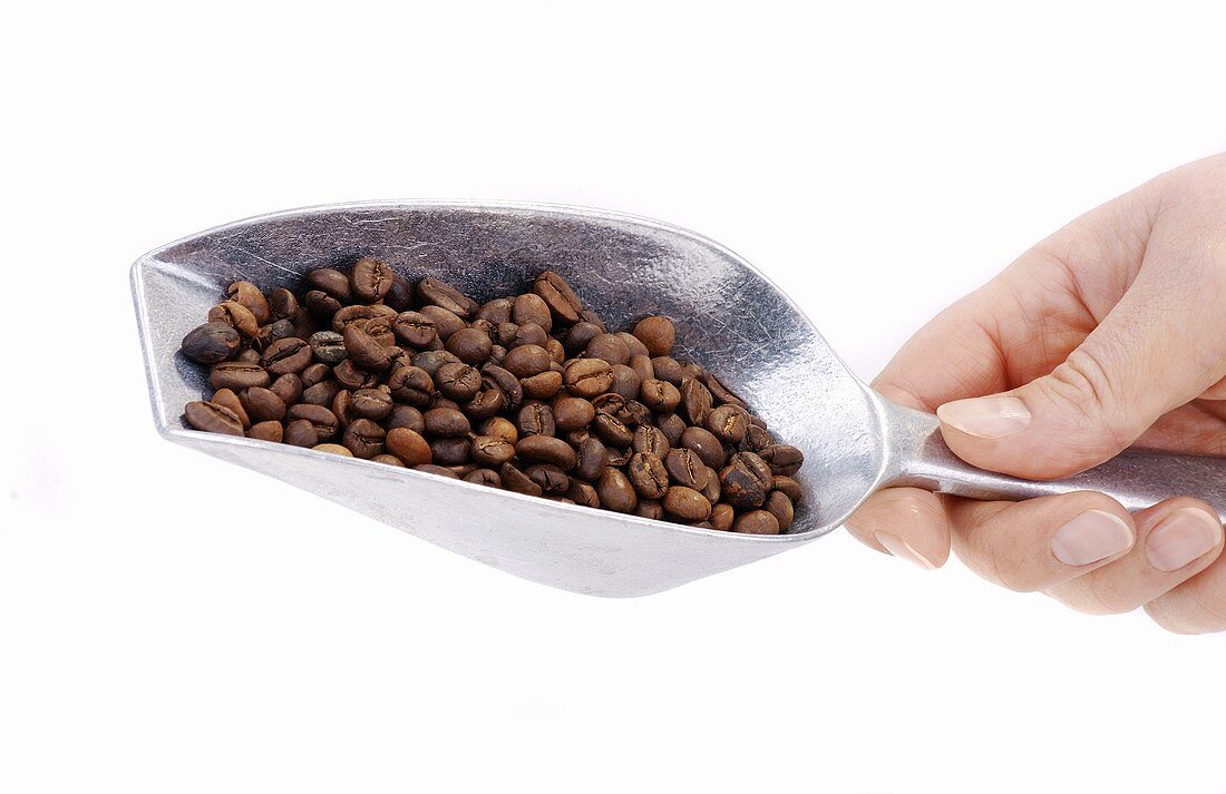 Hand hält Schaufel mit Kaffeebohnen